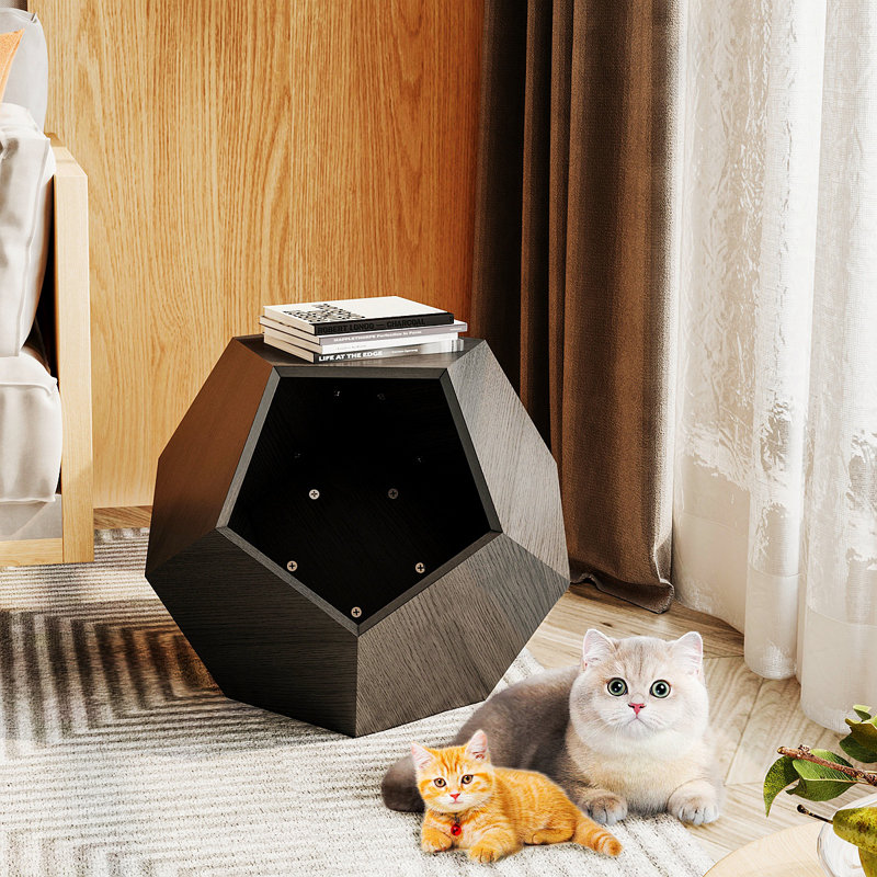 Tucker Murphy Decorative Indoor Cat House